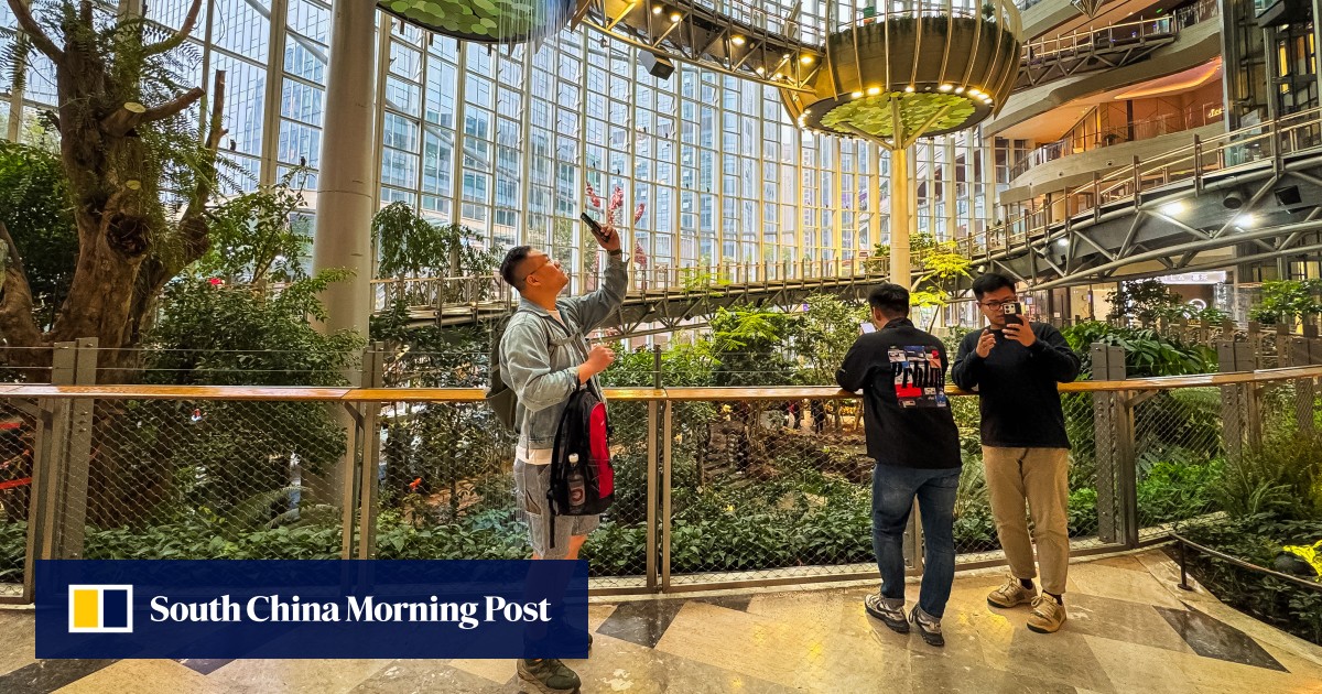 https://cdn.i-scmp.com/sites/default/files/styles/og_image_scmp_generic/public/d8/images/canvas/2026/06/06/29e49f96-965b-4cc9-8eed-268562e758b1_d03f100c.jpg?itok=Qg8bK3x_&v=1780742599
