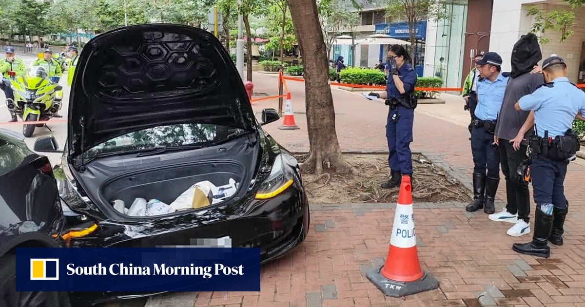 Police arrest man after Tesla rams parked vehicle in latest drug-driving case