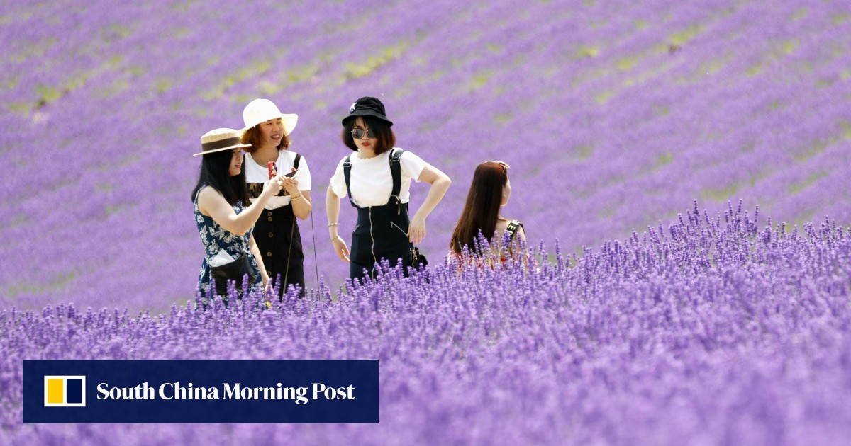 https://cdn.i-scmp.com/sites/default/files/styles/og_image_scmp_generic/public/d8/images/canvas/2026/06/08/d6ee6d92-dc48-44a5-990e-9d7a4abc6e91_d0528bcc.jpg?itok=f_pY3AkN&v=1780898465