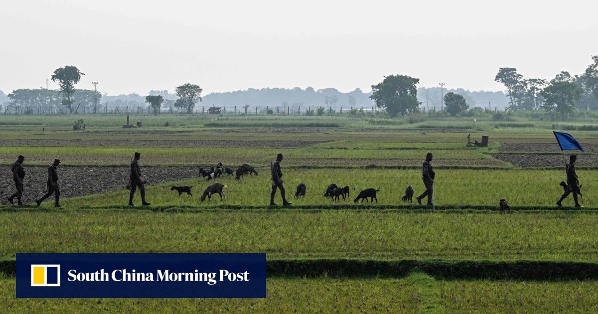 Bangladesh, India pledge closer border cooperation amid migration row