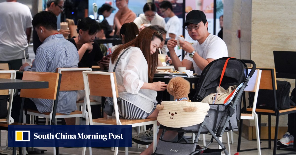 Hong Kong restaurants eye 20% business boost as 1,000 win in dog-friendly licence ballot