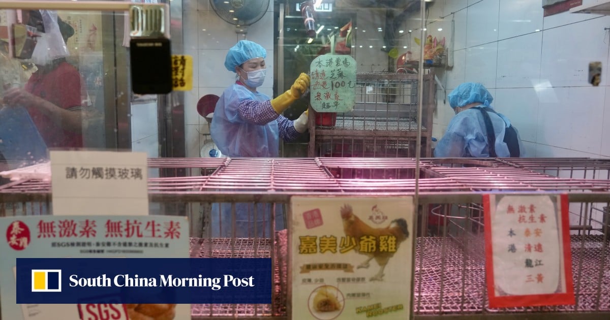 Hong Kong poultry stall suspended for disinfection after bird flu trace detected