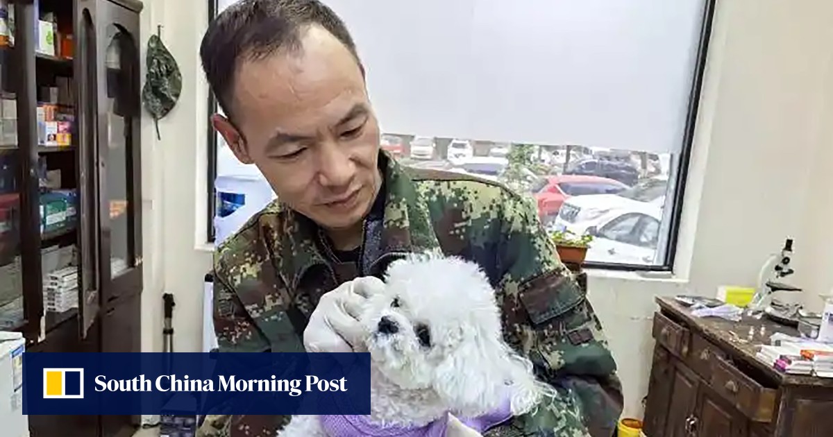 Ex-China military dog handler offers low-cost pet treatments has 5 million online followers