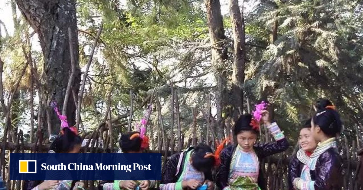 China’s Miao people believe human life symbolised by trees, depicting birth, hardship, death