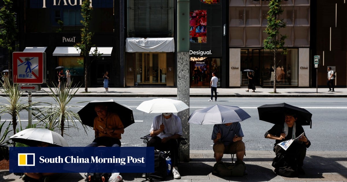 Tokyo city male workers can wear shorts in summer. Some call it harassment.