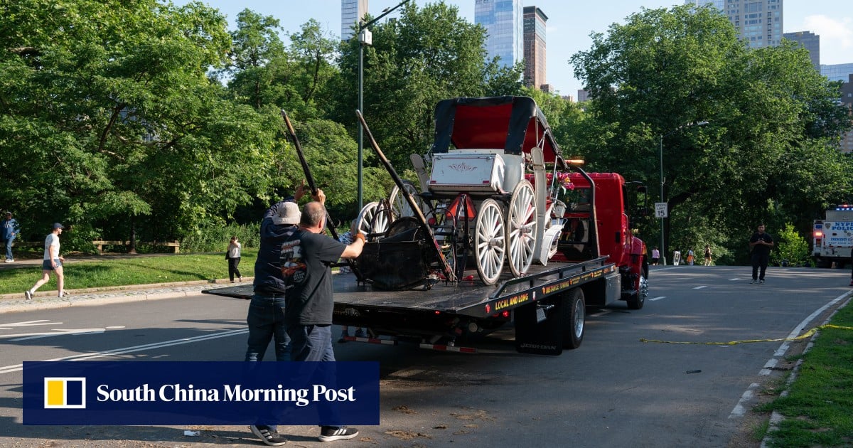 Teen dies in horse carriage incident in New York’s Central Park Teen dies in horse carriage incident in New York’s Central Park