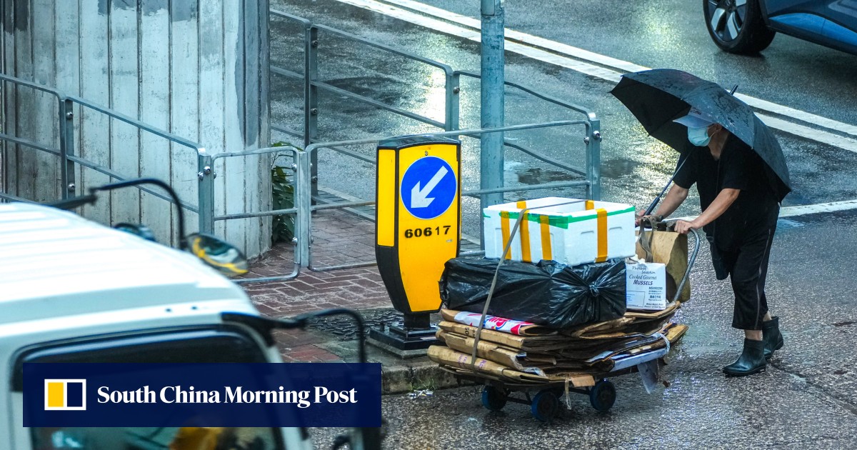 Poverty line a limited marker, Hong Kong minister says, as aid focus expands to carers