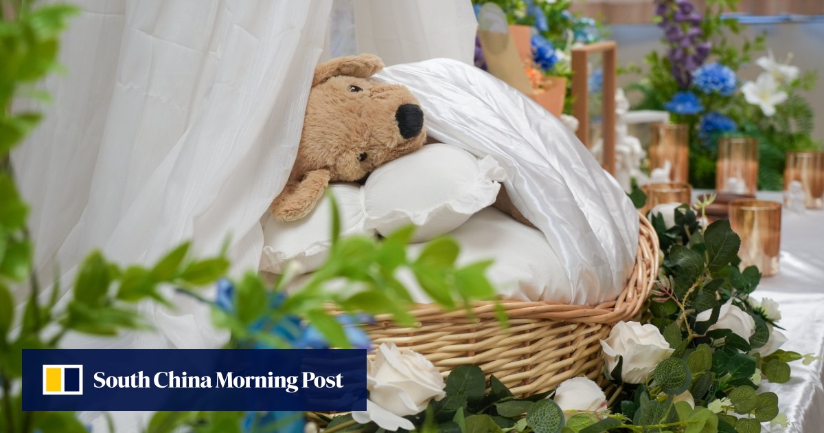 ‘Bury me with them’: animal-lovers want same cemetery plots as their pets