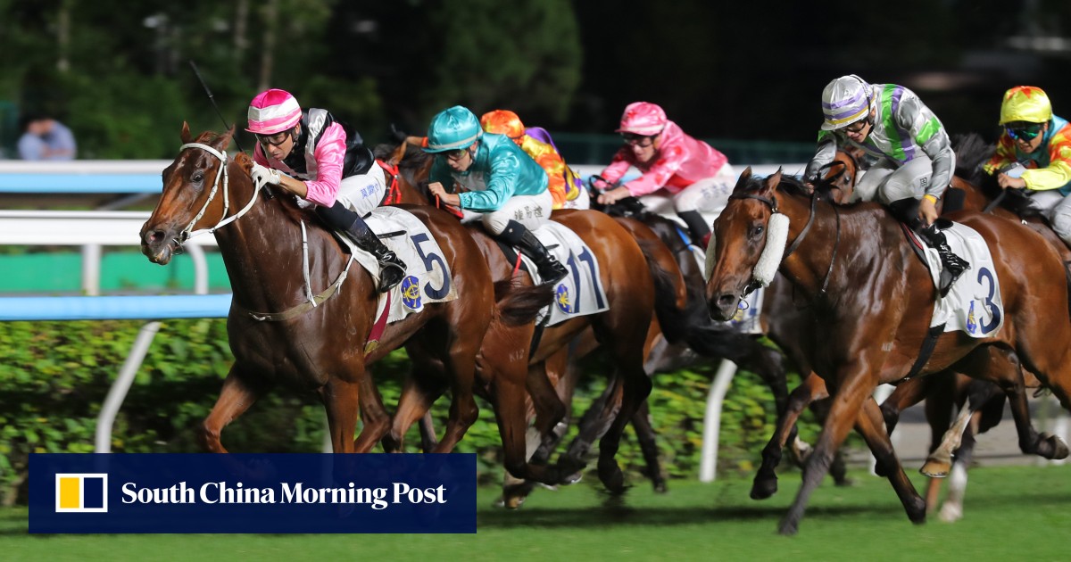 Beauty Joy proves age is just a number with back-to-back Premier Plate wins