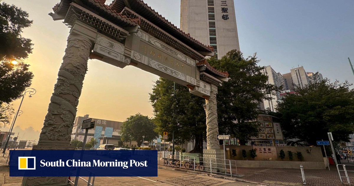 Hong Kong father, son arrested after parking ticket thrown at traffic wardens