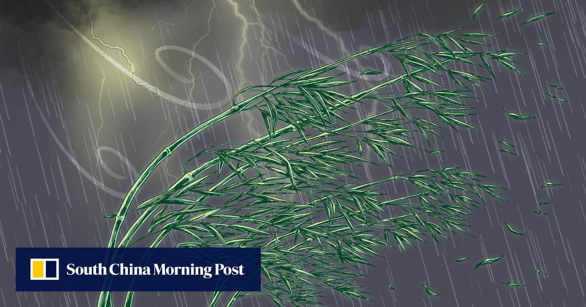 ‘Lying flat’ goes mainstream, Singapore mall finds God: 5 weekend reads you missed