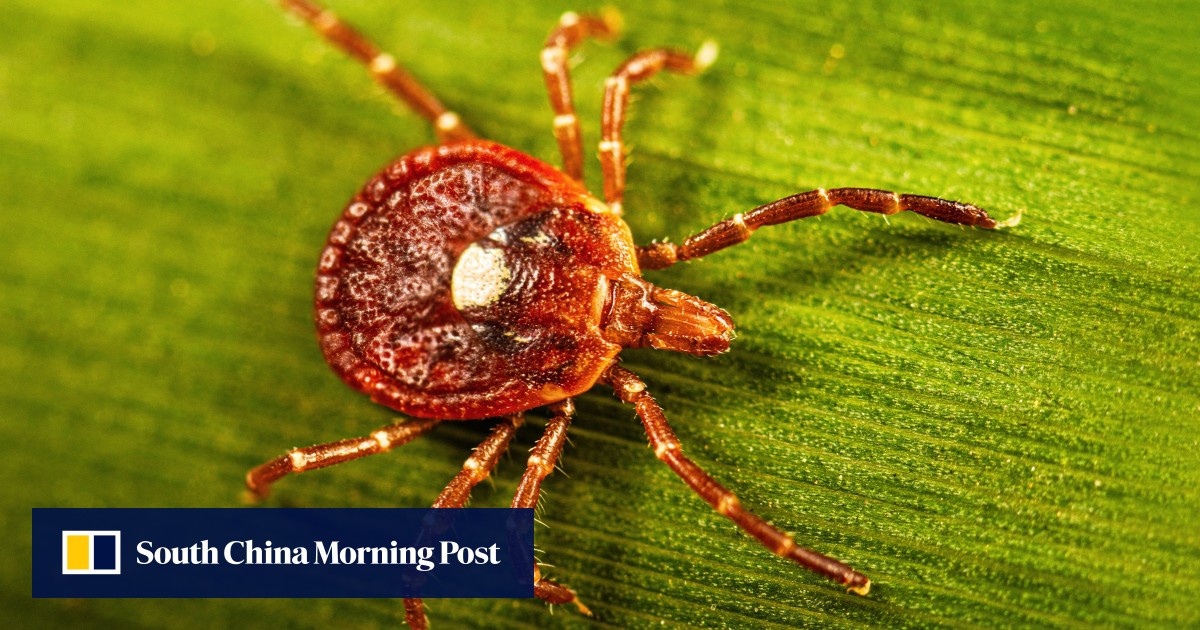 https://cdn.i-scmp.com/sites/default/files/styles/og_image_scmp_generic/public/d8/images/canvas/2026/06/22/7665560e-0027-4d40-a851-d3de42ea8ad7_0cdaa5cf.jpg?itok=l3qYBXD1&v=1782098785