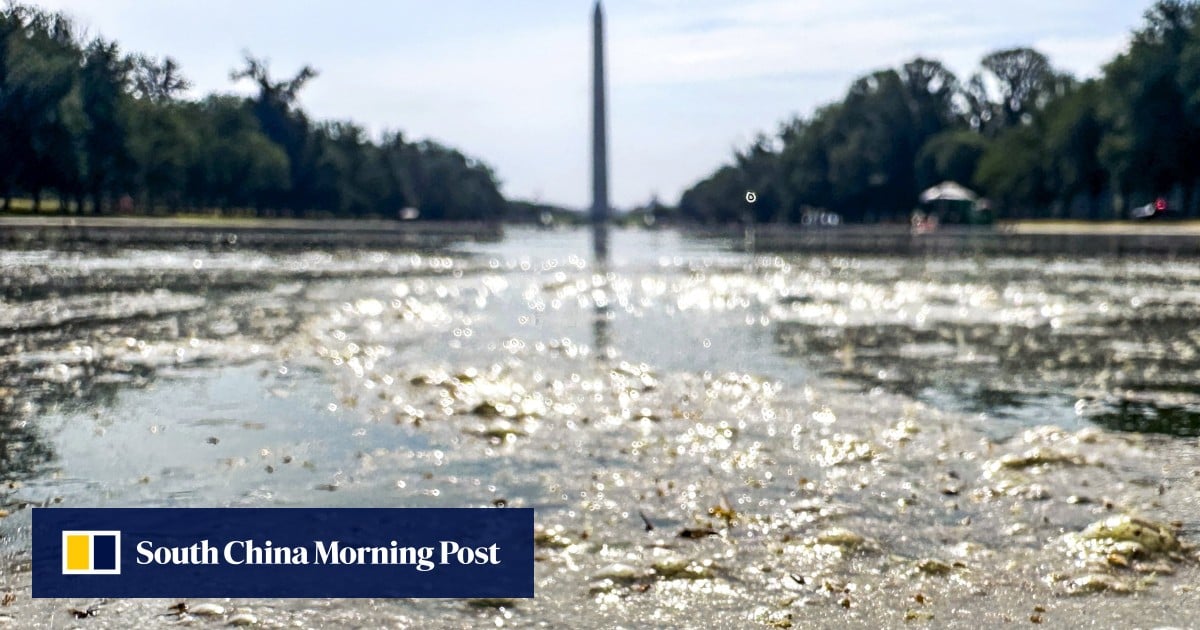 Algae-filled Washington pool to be drained for repairs after US.7 million renovation Algae-filled Washington pool to be drained for repairs after US.7 million renovation
