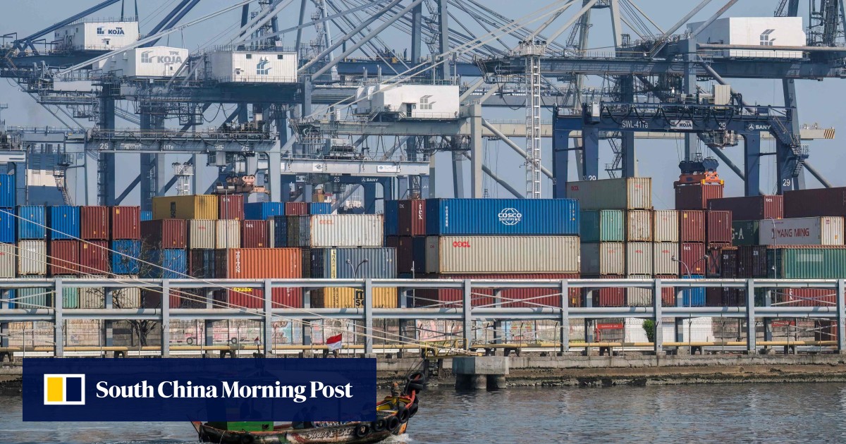 Indonesia hails China’s backing for panda bond amid investor concerns over rules