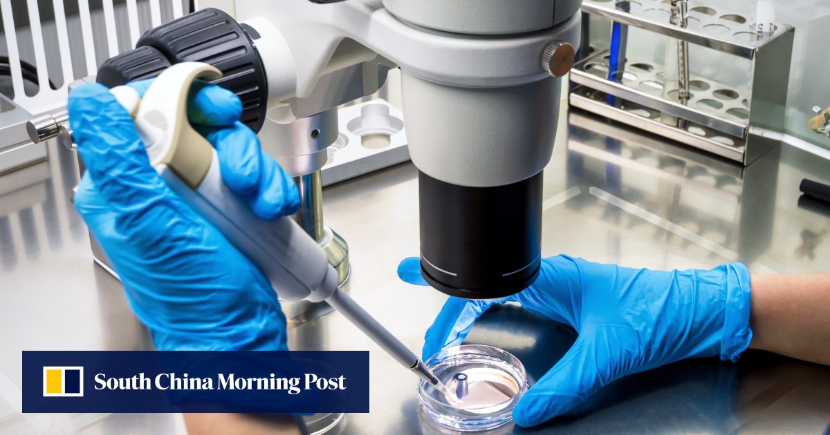 https://cdn.i-scmp.com/sites/default/files/styles/og_image_scmp_generic/public/d8/images/canvas/2026/06/23/d4135c75-05ea-4025-a214-e509df9a1d5f_51e898dc.jpg?itok=DE6Fy9f0&v=1782212209