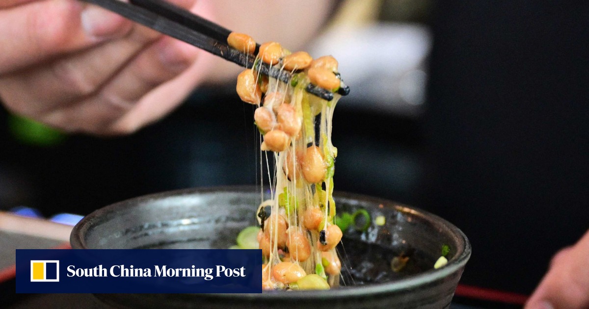 https://cdn.i-scmp.com/sites/default/files/styles/og_image_scmp_generic/public/d8/images/canvas/2026/06/23/fc6bf8a2-0efb-4d46-a373-11a62f26ed8b_c42bc963.jpg?itok=5gIZTZp-&v=1782209718
