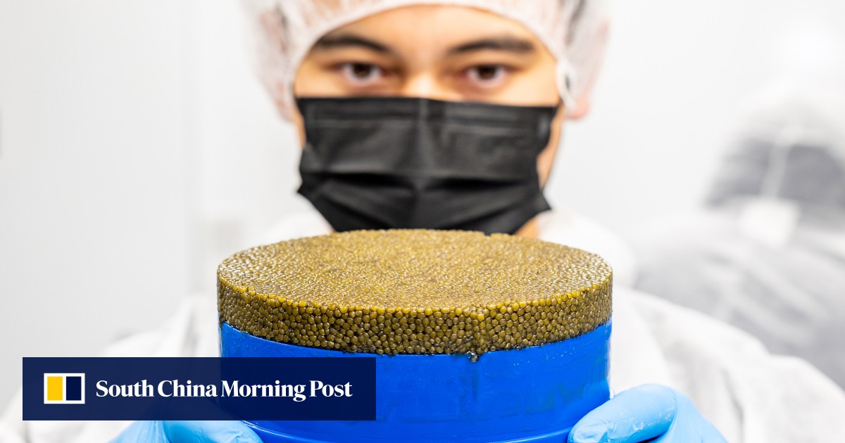 https://cdn.i-scmp.com/sites/default/files/styles/og_image_scmp_generic/public/d8/images/canvas/2026/06/25/1ec57ab3-676e-4025-afbd-63c51bf2135a_e90a12ea.jpg?itok=064B8pI_&v=1782380266