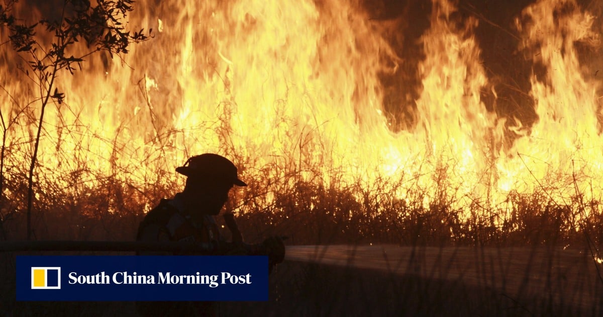Burning point: Southeast Asia’s haze fight faces cost test