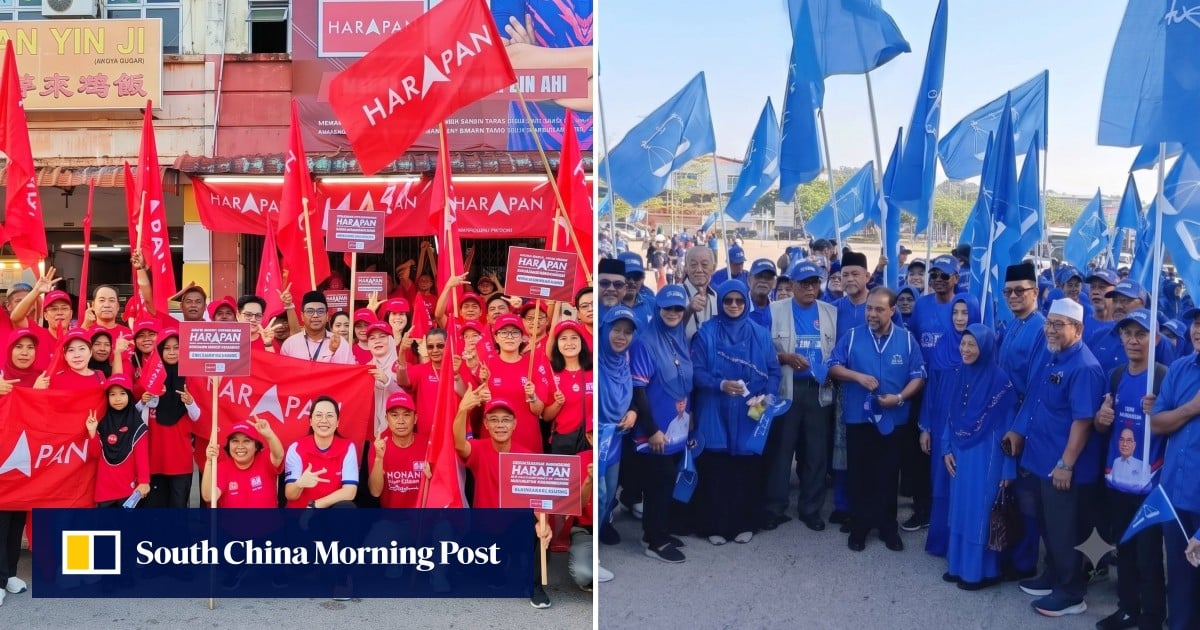 Malaysia’s Johor election campaign begins as federal allies clash