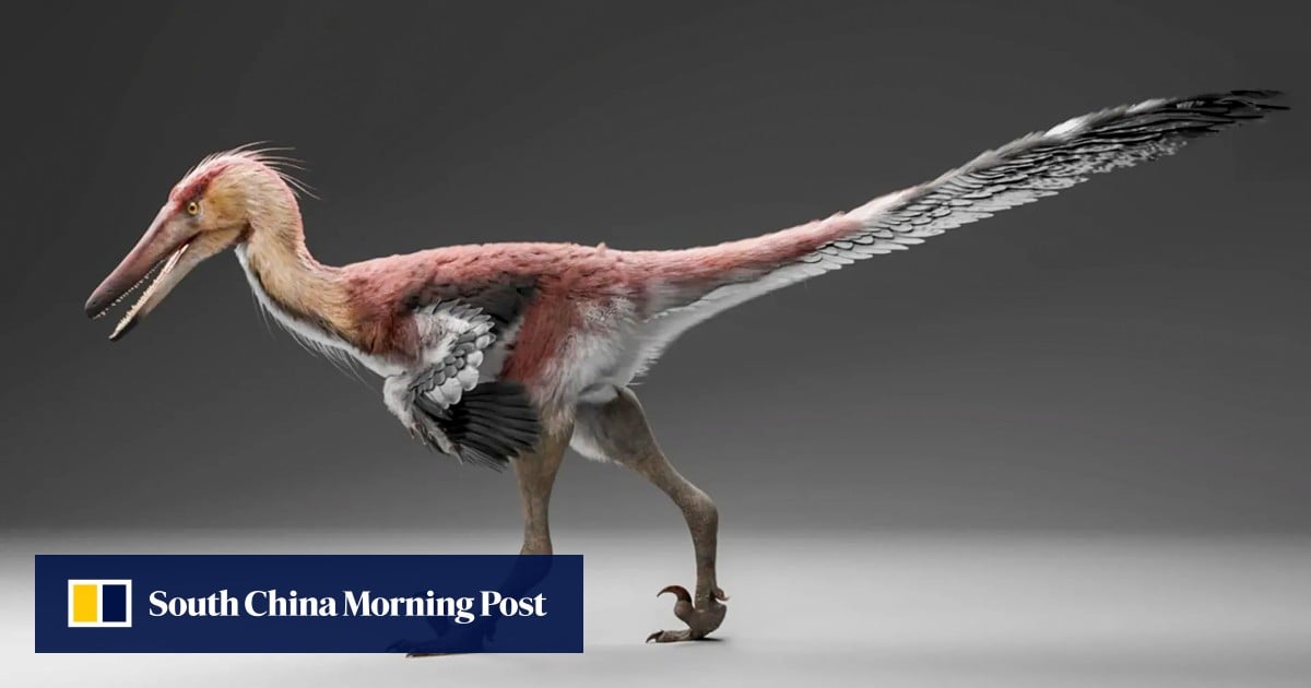 https://cdn.i-scmp.com/sites/default/files/styles/og_image_scmp_generic/public/d8/images/canvas/2026/06/27/327aca0f-01f2-415f-b255-5f2491df11d7_da41ec10.jpg?itok=HCYGtbze&v=1782546883