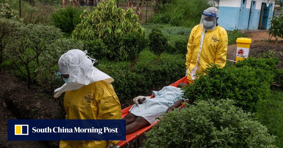Confirmed Ebola cases in Congo at 1,274, including 360 deaths Confirmed Ebola cases in Congo at 1,274, including 360 deaths