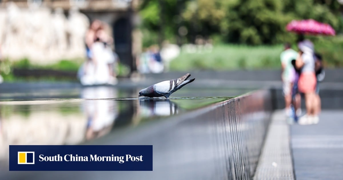 Heatwave grips Eastern Europe after Germany weather breaks records Heatwave grips Eastern Europe after Germany weather breaks records
