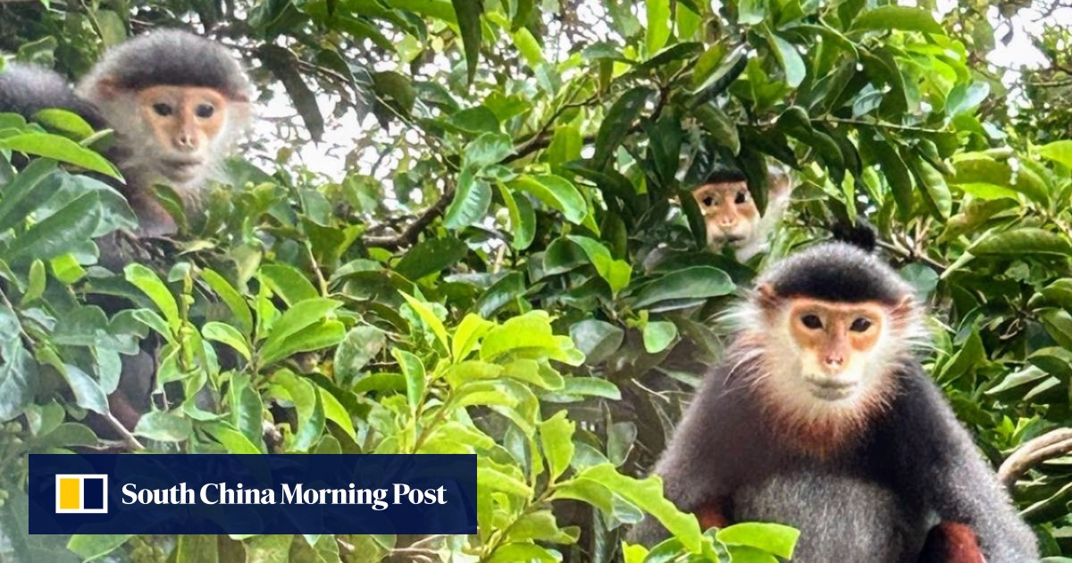 https://cdn.i-scmp.com/sites/default/files/styles/og_image_scmp_generic/public/d8/images/canvas/2026/06/30/05aa3edf-2073-4770-87dc-16bc3da9b016_2a71f14e.jpg?itok=J7iwvBYO&v=1782794425