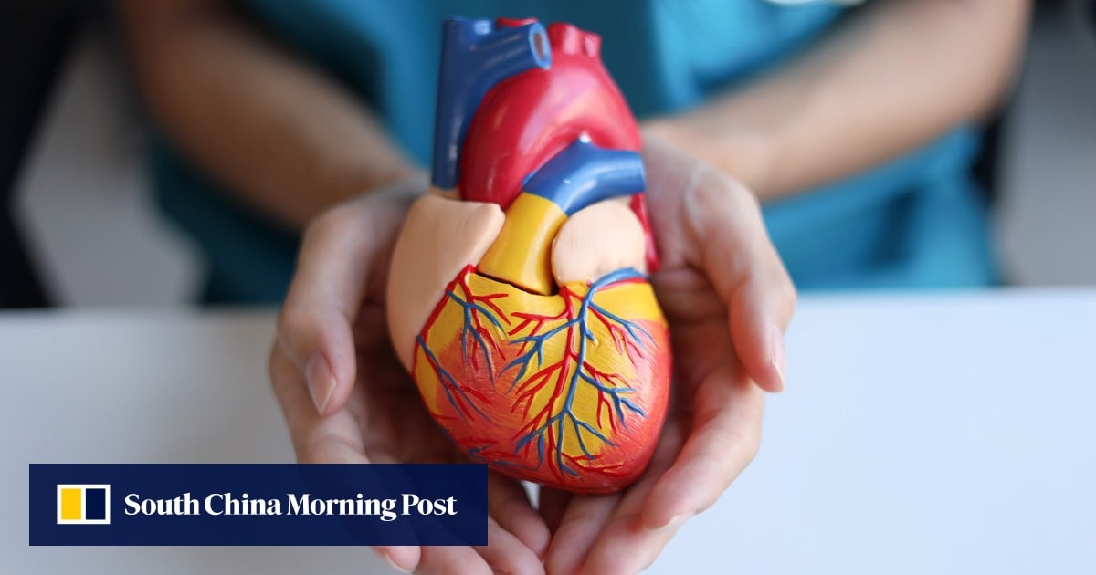 How a ‘Chinese heart’ could get US blood pumping despite biotech decoupling