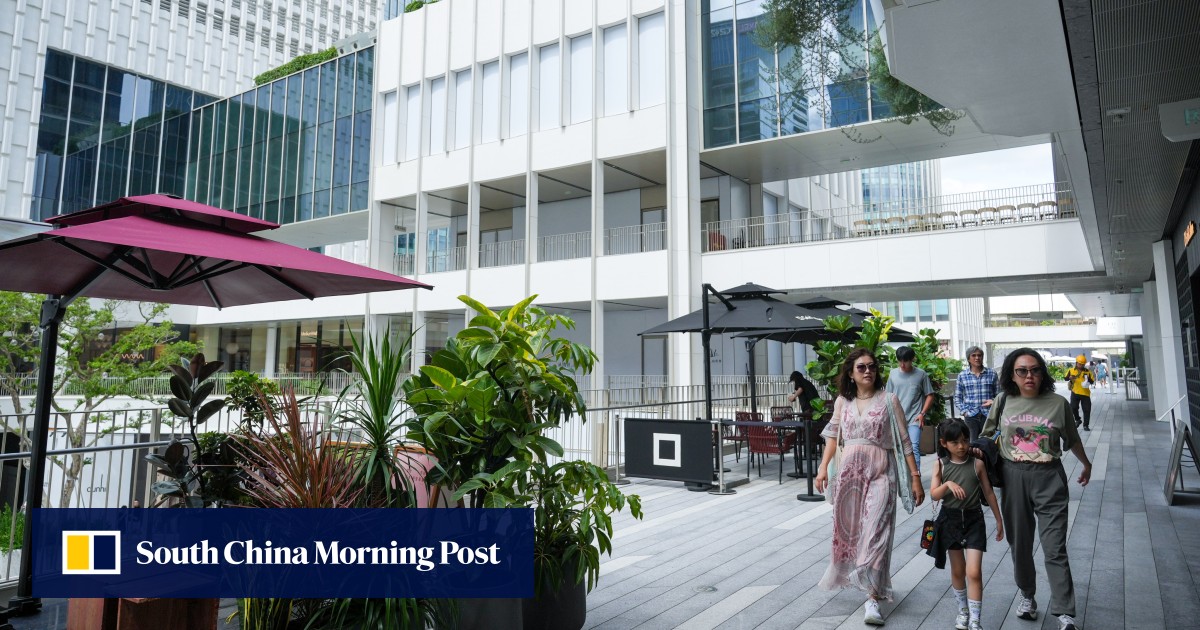 ‘More space, better service’: Hongkongers flock to mainland for July 1 holiday