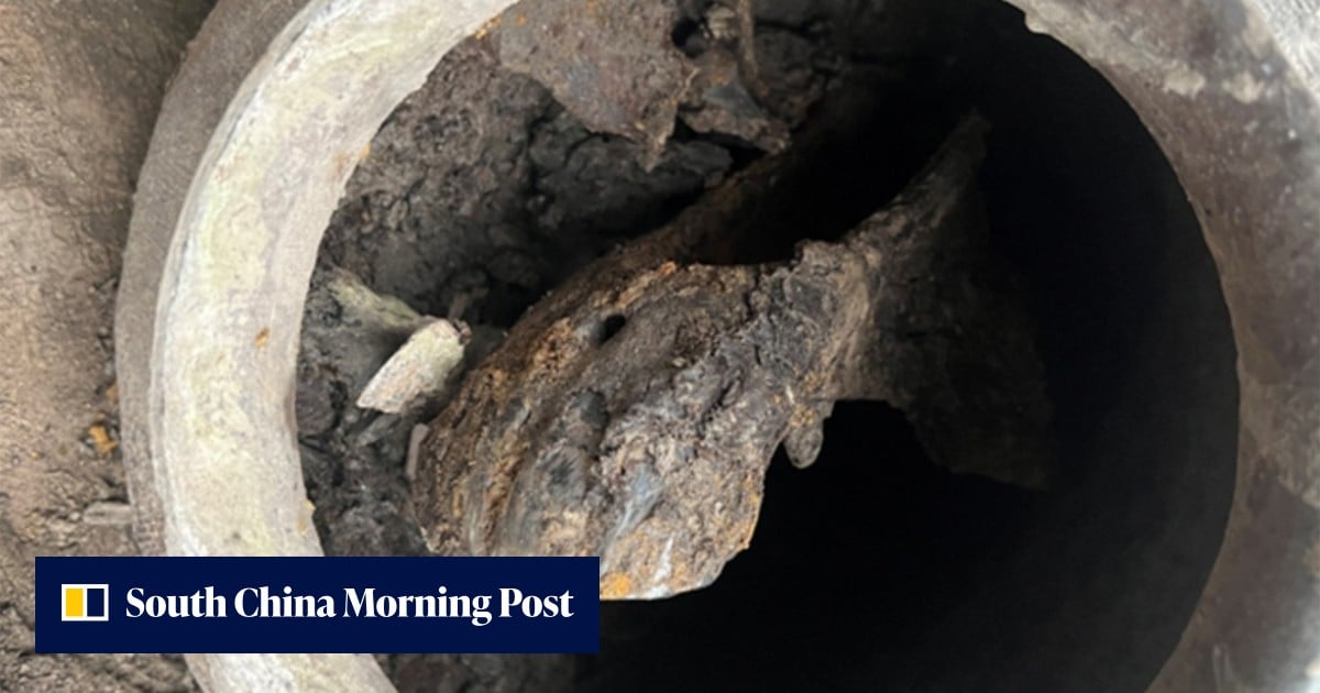 Chinese scientists’ horse-head discovery sheds light on ancient elite sacrificial traditions