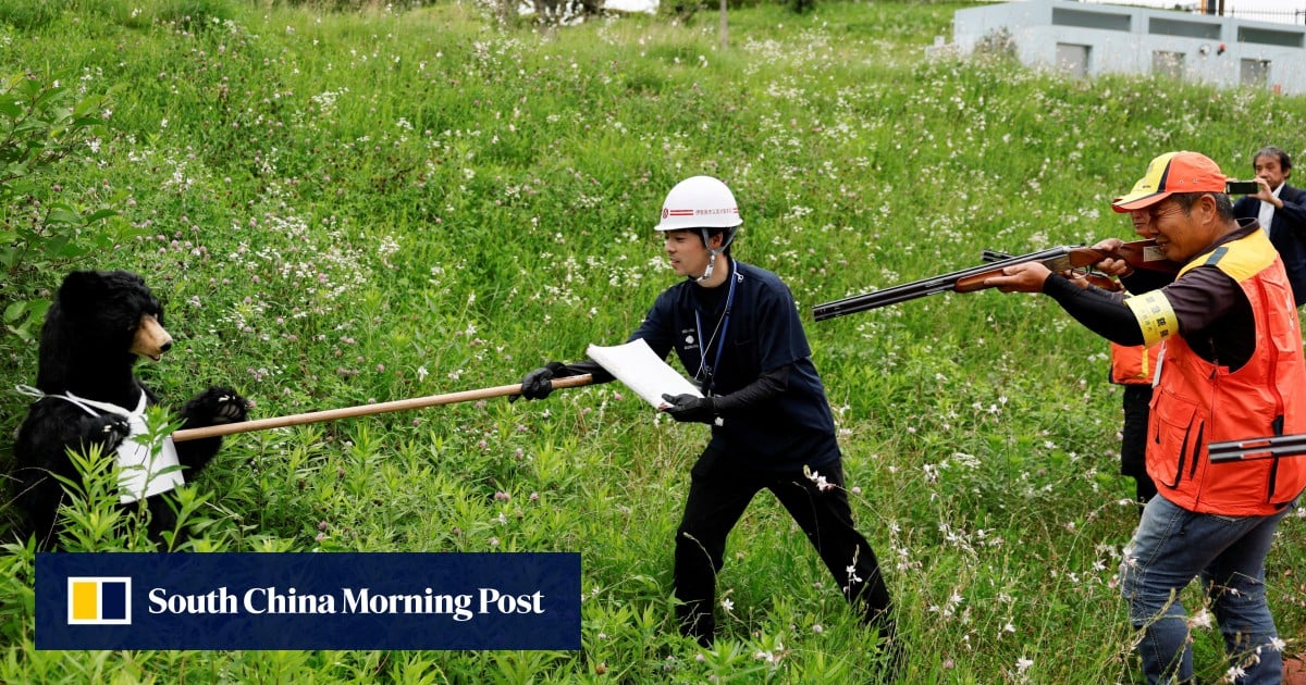How a Japanese prefecture is managing rising bear population with microchips