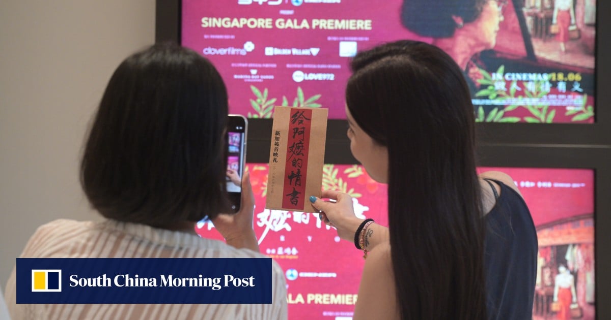 Do Singapore ministers watch films? Parliament joke raises hackles amid dialect debate