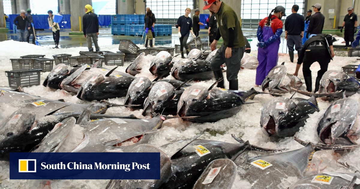 https://cdn.i-scmp.com/sites/default/files/styles/og_image_scmp_generic/public/d8/images/canvas/2026/07/08/80992046-09c9-4648-813f-ed0ce6d7e18f_13620a1e.jpg?itok=idyMhqV2&v=1783490822