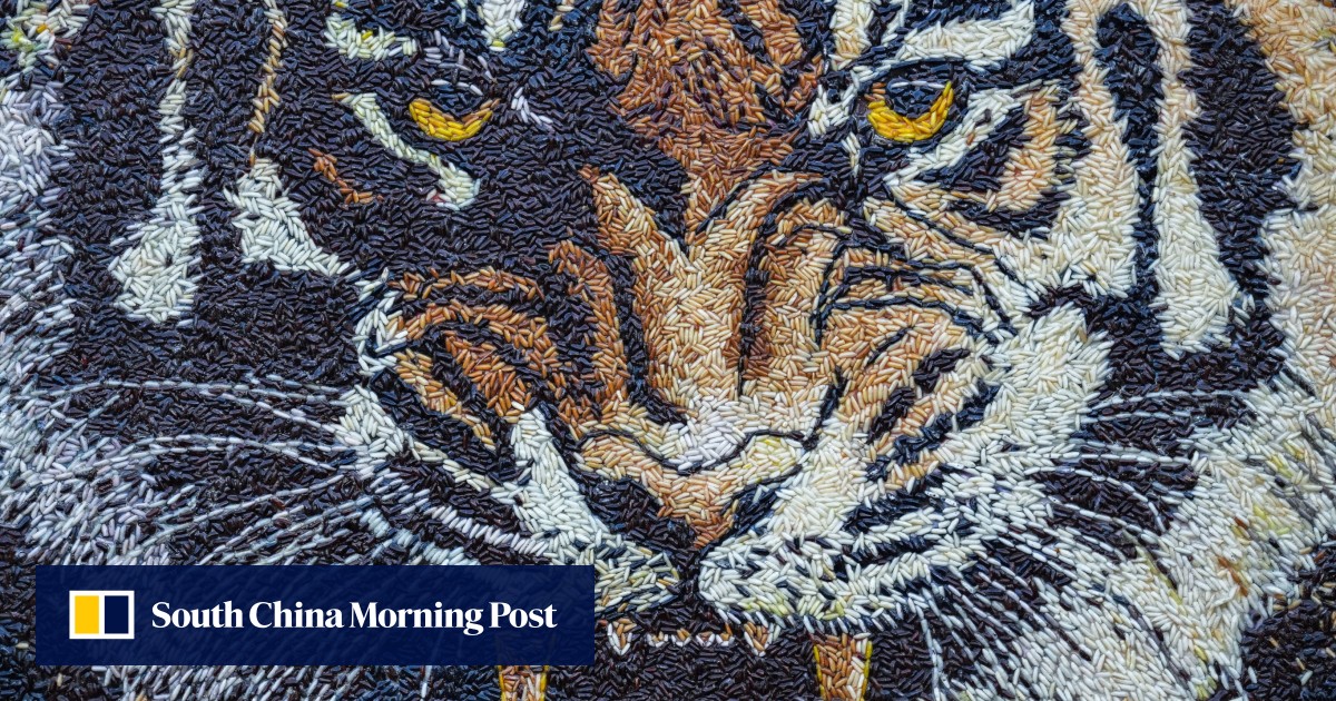 Cambodian villagers fear US$43 million tiger reintroduction plan