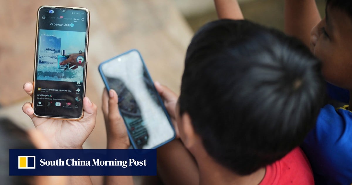 ‘Grading own homework’: is Indonesia outsourcing online safety to tech giants?