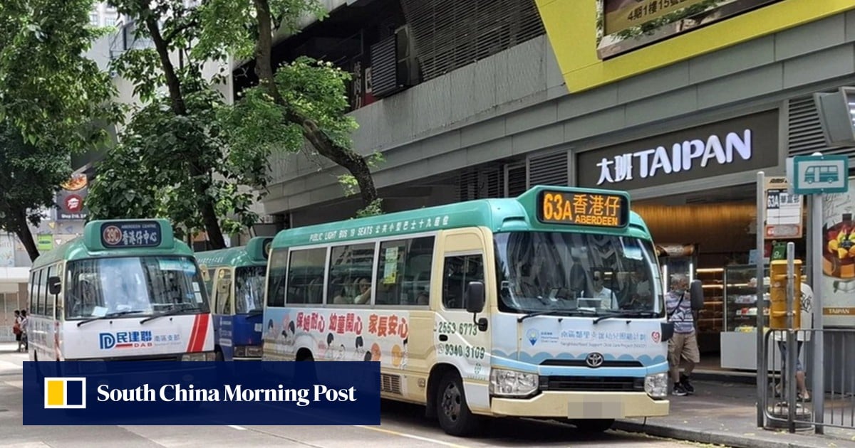 Woman, 50, arrested for murder after minibus stop fight in Hong Kong