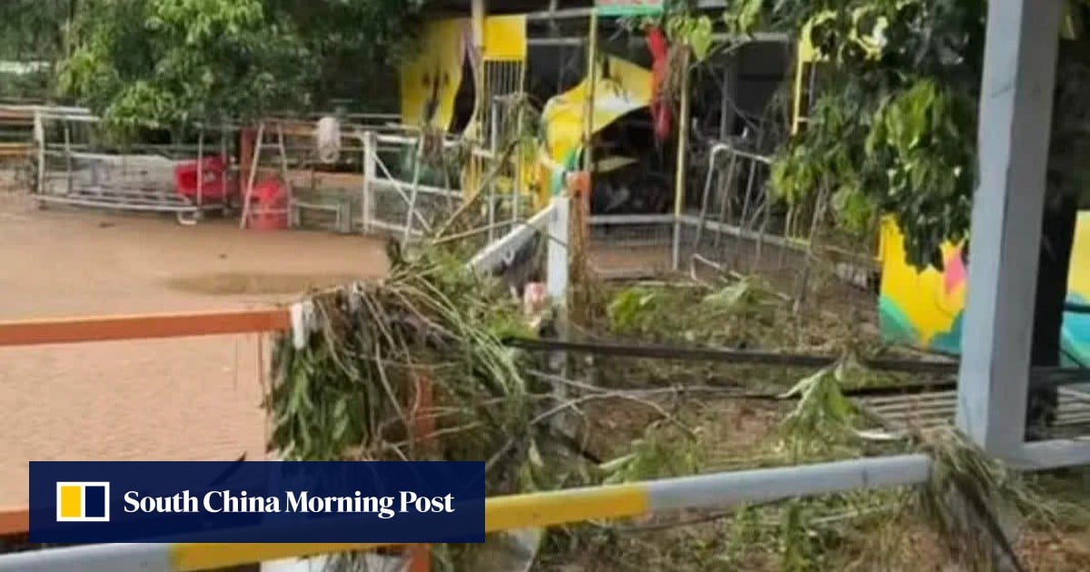 Lions dead, zebras on the run as floodwaters devastate zoo in southern China