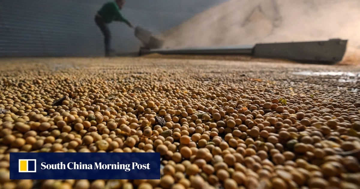 Is China’s biggest daily US soybean order confirmation of Xi-Trump summit pact?