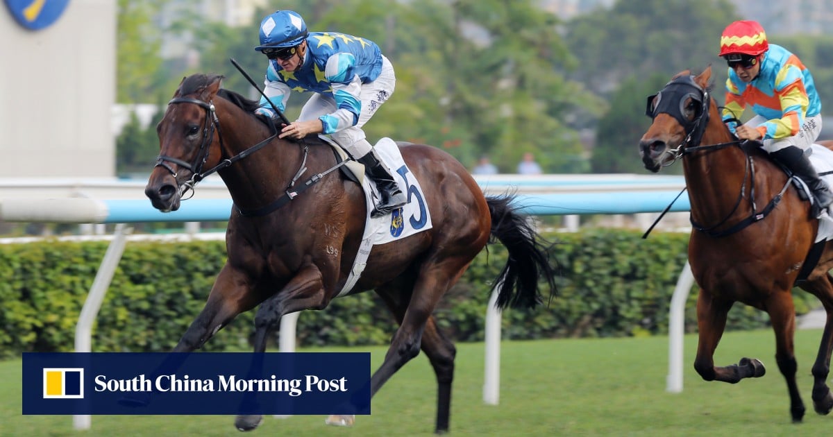 Lui rates Gold Patch and Meaningful Dragon the best of his Sha Tin squad