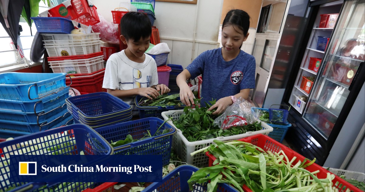 https://cdn.i-scmp.com/sites/default/files/styles/og_image_scmp_generic/public/d8/images/canvas/2026/07/10/2caa6ea6-926d-4bf1-82de-0086d0381004_af4f6605.jpg?itok=tMVbt7TC&v=1783655482