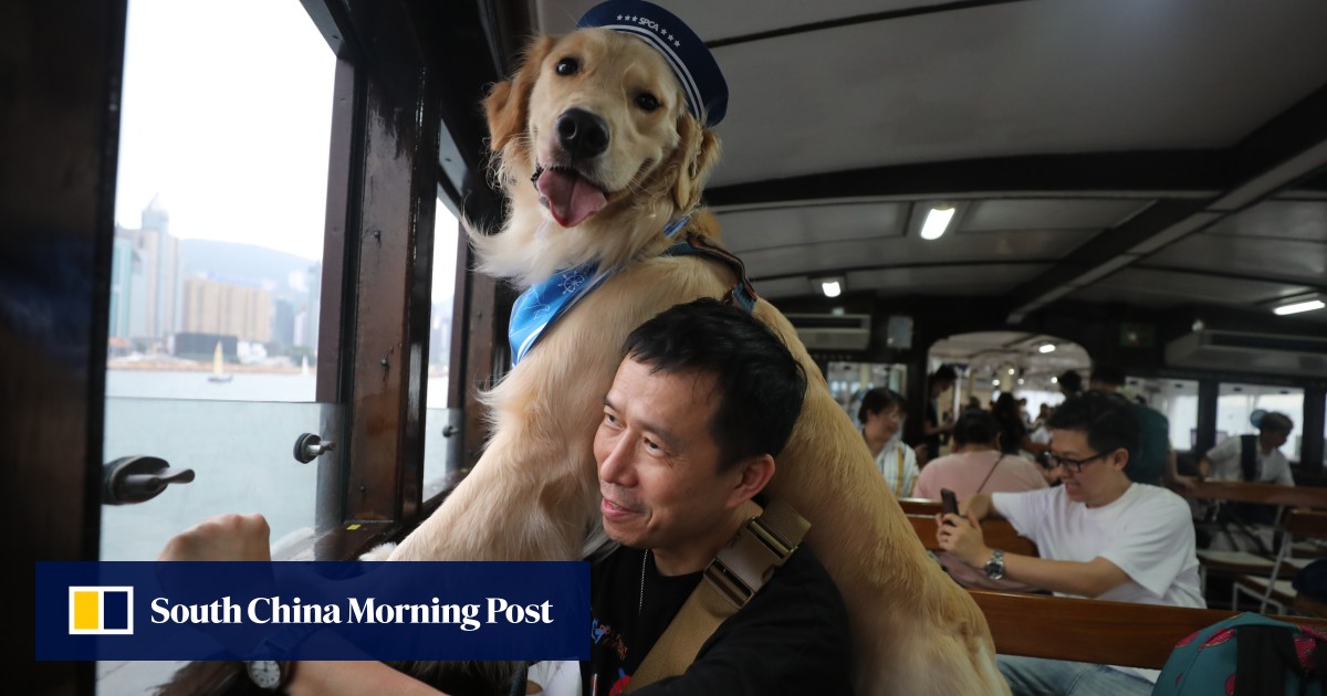 Hong Kong’s Star Ferry seeks 30% fare rise, eyes pet-friendly service