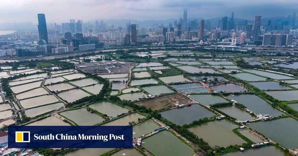 Hong Kong Says Northern Metropolis Laws Will Run Alongside Environmental Rules