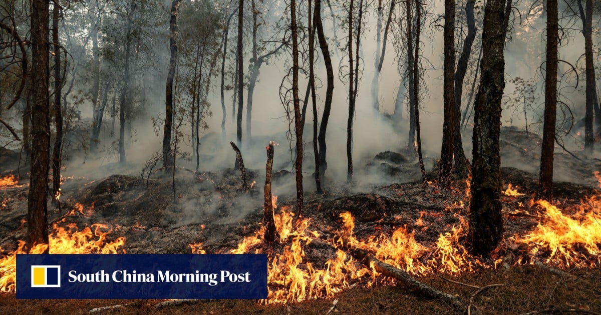 2 arrested over Fontainebleau forest fire near Paris, interior minister says 2 arrested over Fontainebleau forest fire near Paris, interior minister says