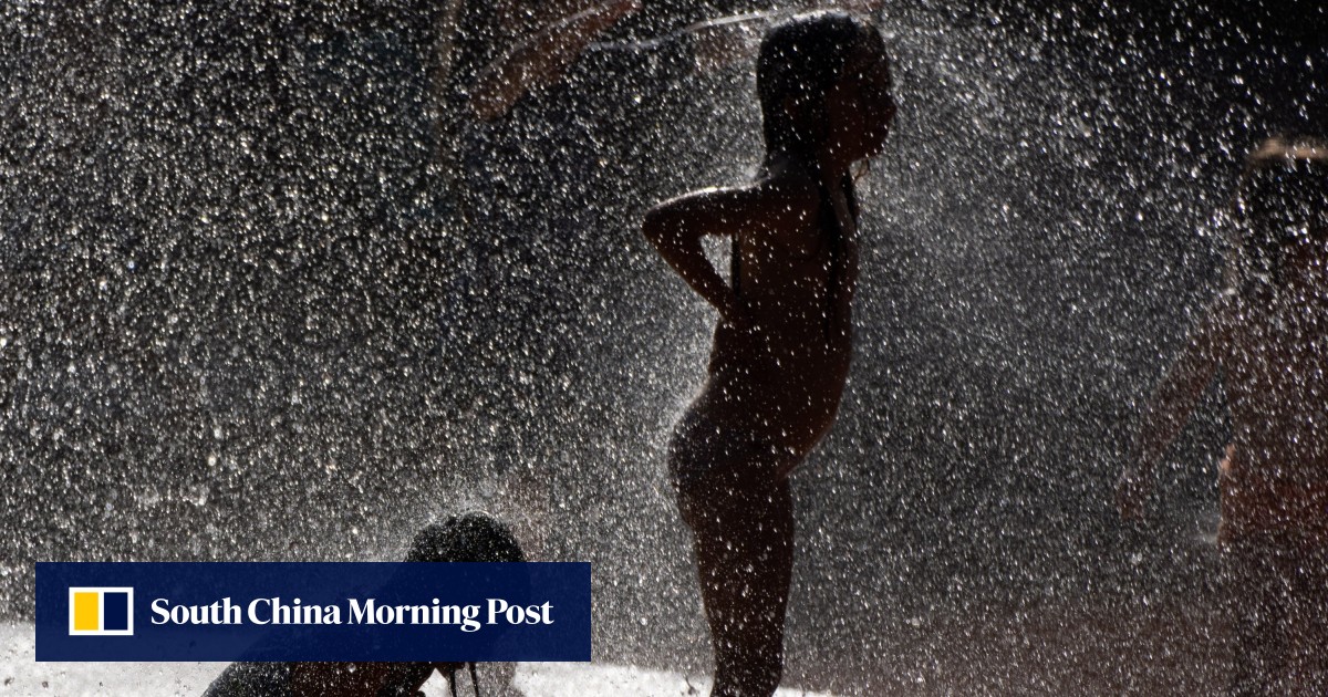 German deaths rise 32% during record June heatwave, data shows