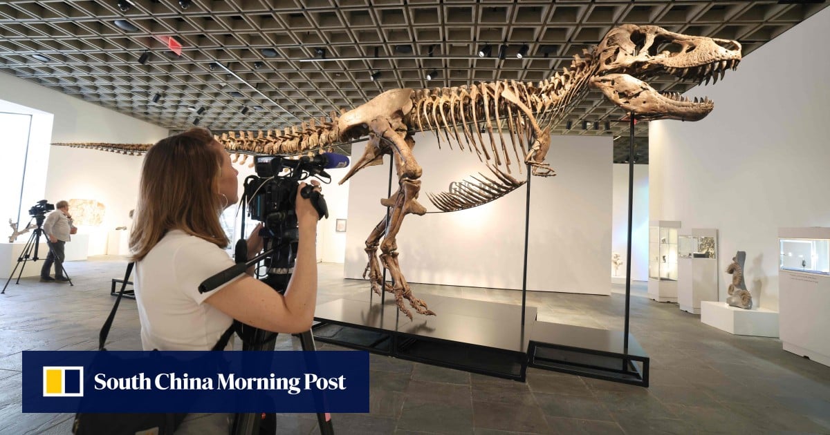 ‘Gus’ the T. rex fetches record US.1 million at US auction ‘Gus’ the T. rex fetches record US.1 million at US auction