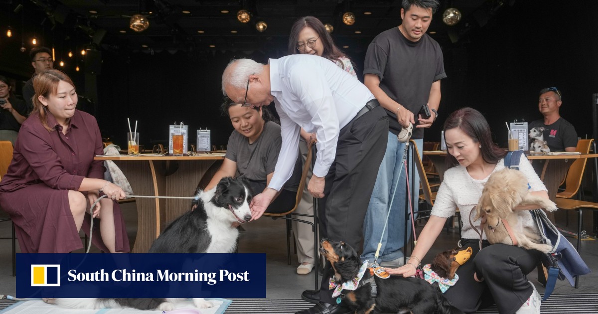 Watchdog urges pet owners to be mindful of terms and conditions of insurance plans