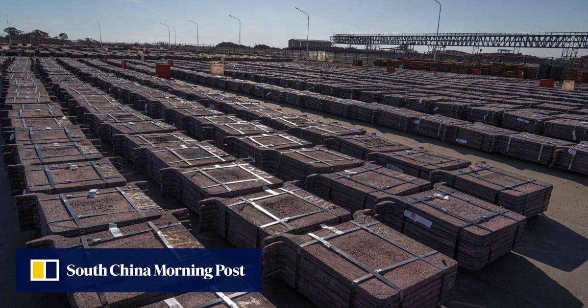 China’s imports from Africa surge after Beijing expands zero-tariff policy China’s imports from Africa surge after Beijing expands zero-tariff policy