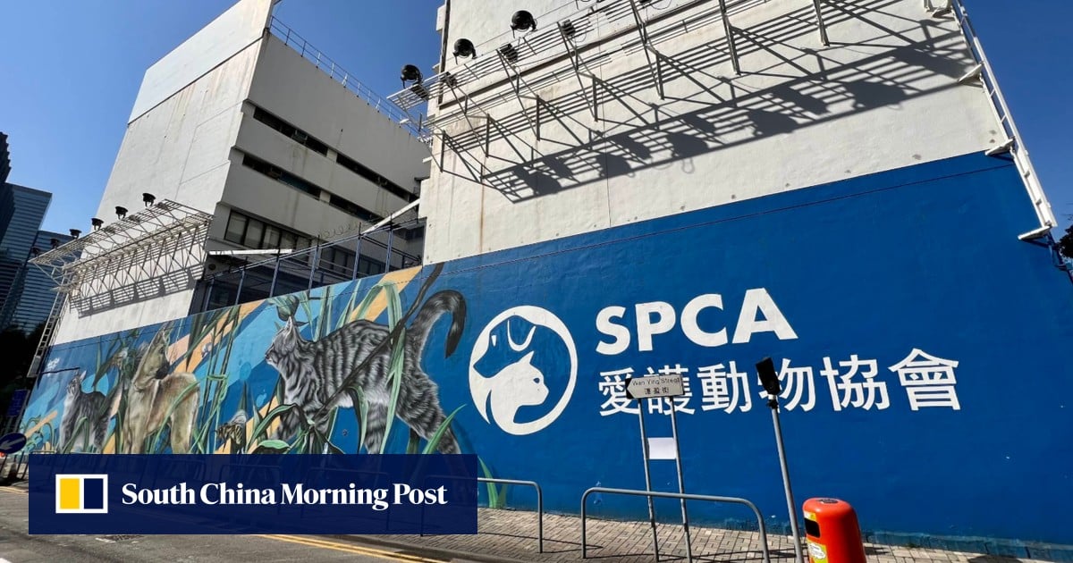 Hong Kong SPCA cancels fundraiser amid backlash over bid to remove dog-killing videos