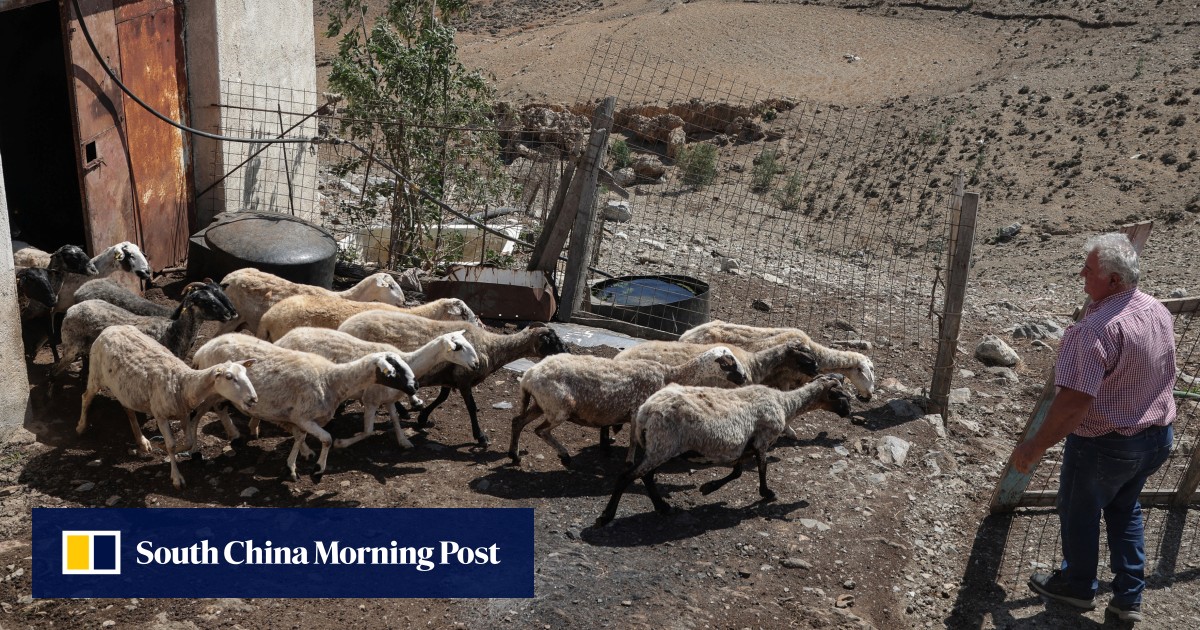4 Greek MPs charged over multimillion EU farm fraud scandal