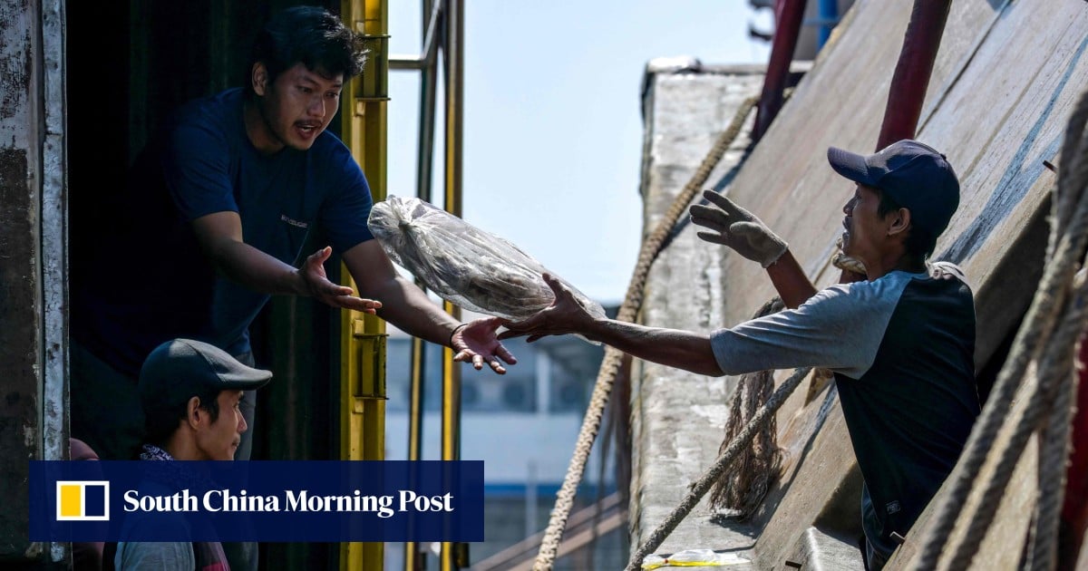 Indonesian migrant fishers hooked by false promises, reeled into slavery on high seas